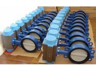 對夾式襯(chen)膠蝶閥