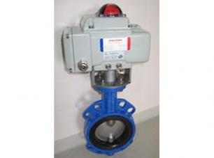 D941電(dian)動襯膠蝶閥